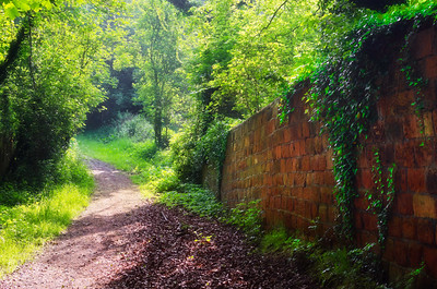 pathway